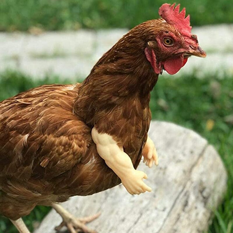 Dekorative Hühnerarme, lustige Tierkostüme🐓