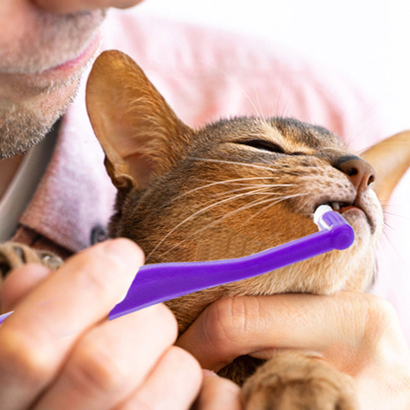 Dual Sided Cat Toothbrush