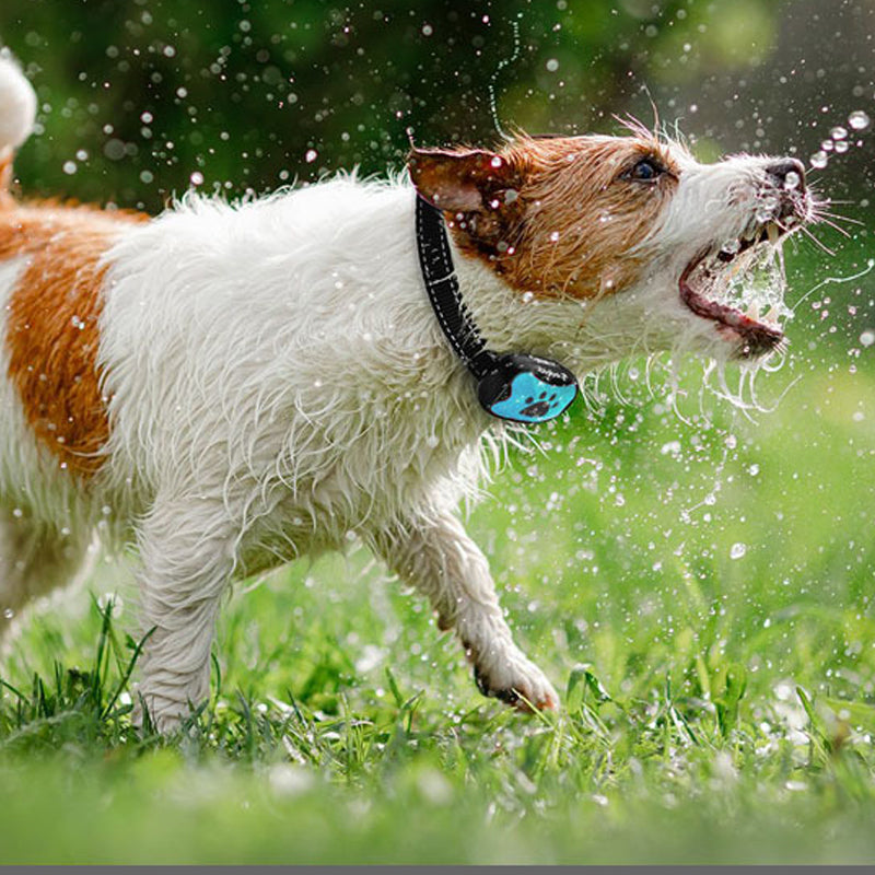 Wiederaufladbarer, wasserdichter Hundetrainer