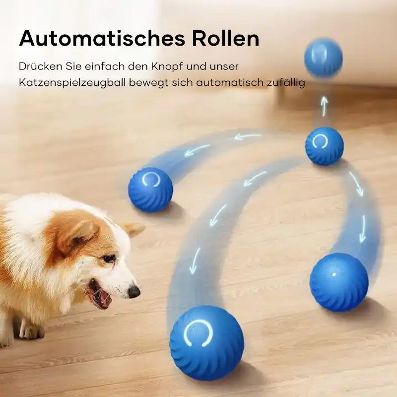 Automatischer intelligenter Hundeball🐶