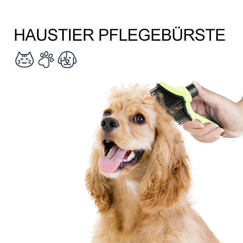 Haustier Pflegebürste