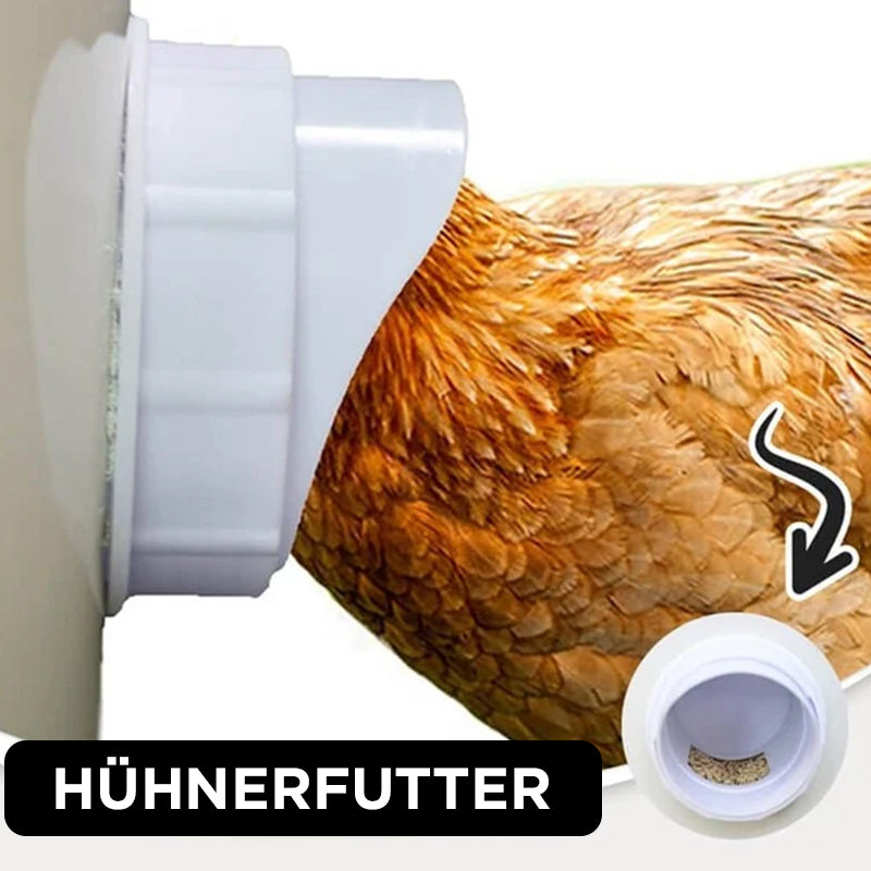 DIY Hühnerfutter