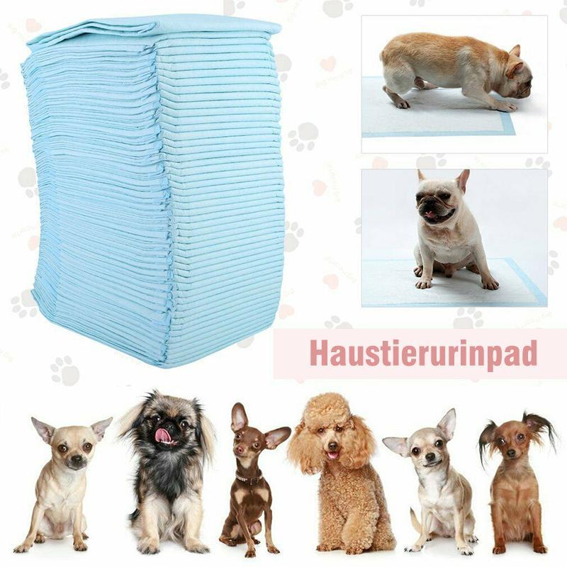 Haustierwindeln, Einwegverdickung, desodorierend, saugfähig, Hund, Windel, Training, Hundewindeln