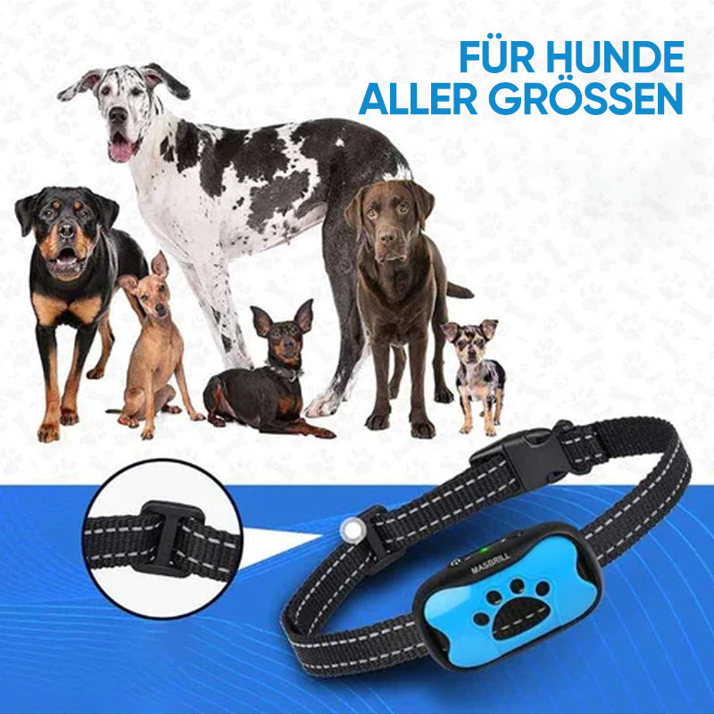 Wiederaufladbarer, wasserdichter Hundetrainer